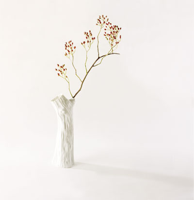 branch