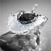 caviar