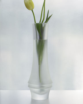 Steuben Glass